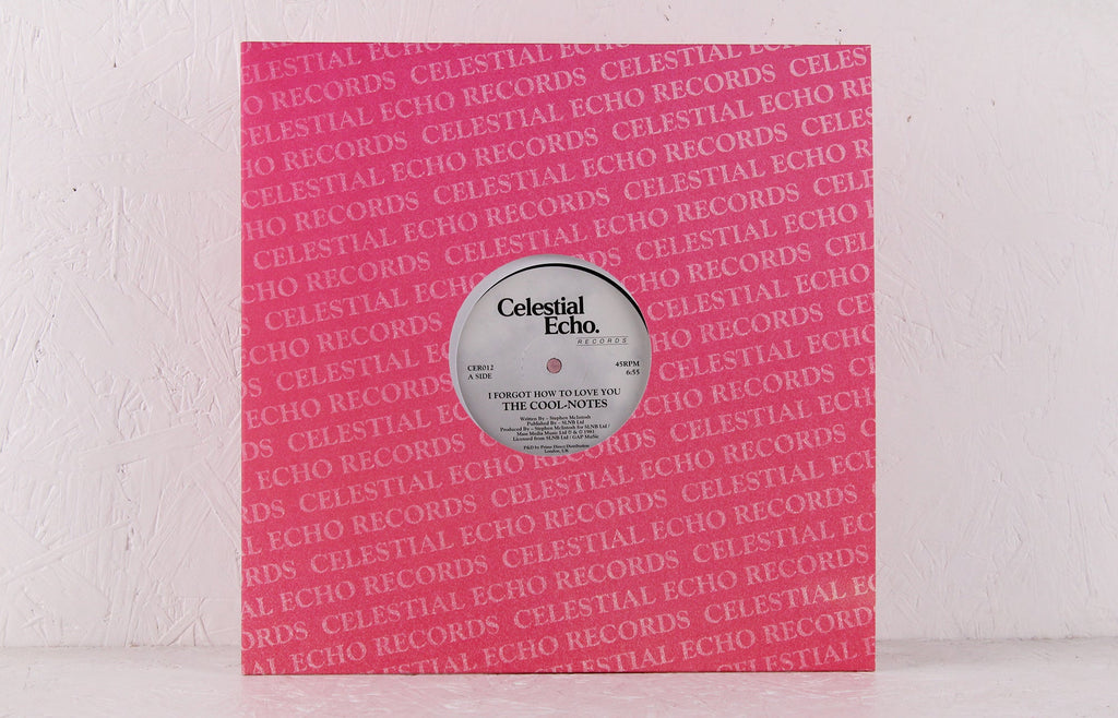 I Forgot How To Love You – Vinyl 12"