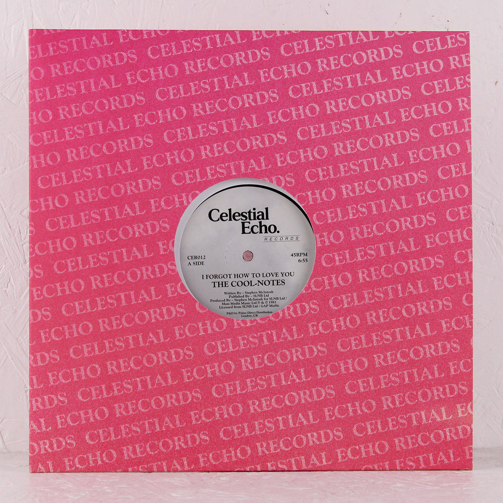 I Forgot How To Love You – Vinyl 12"
