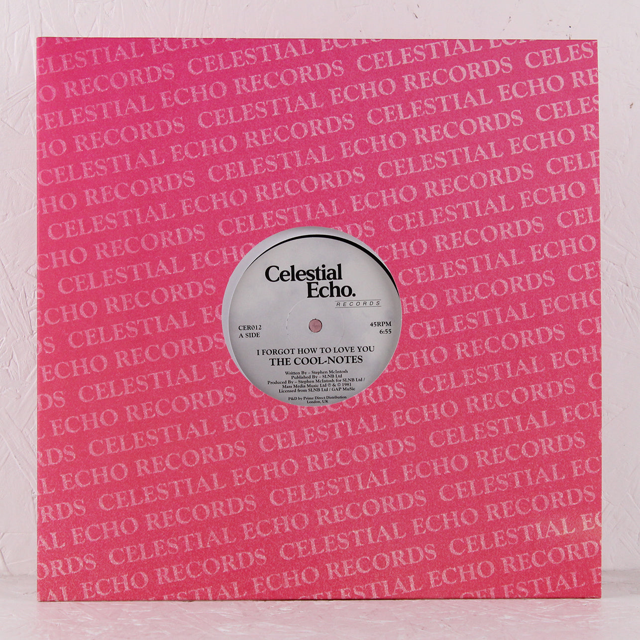 I Forgot How To Love You – Vinyl 12"