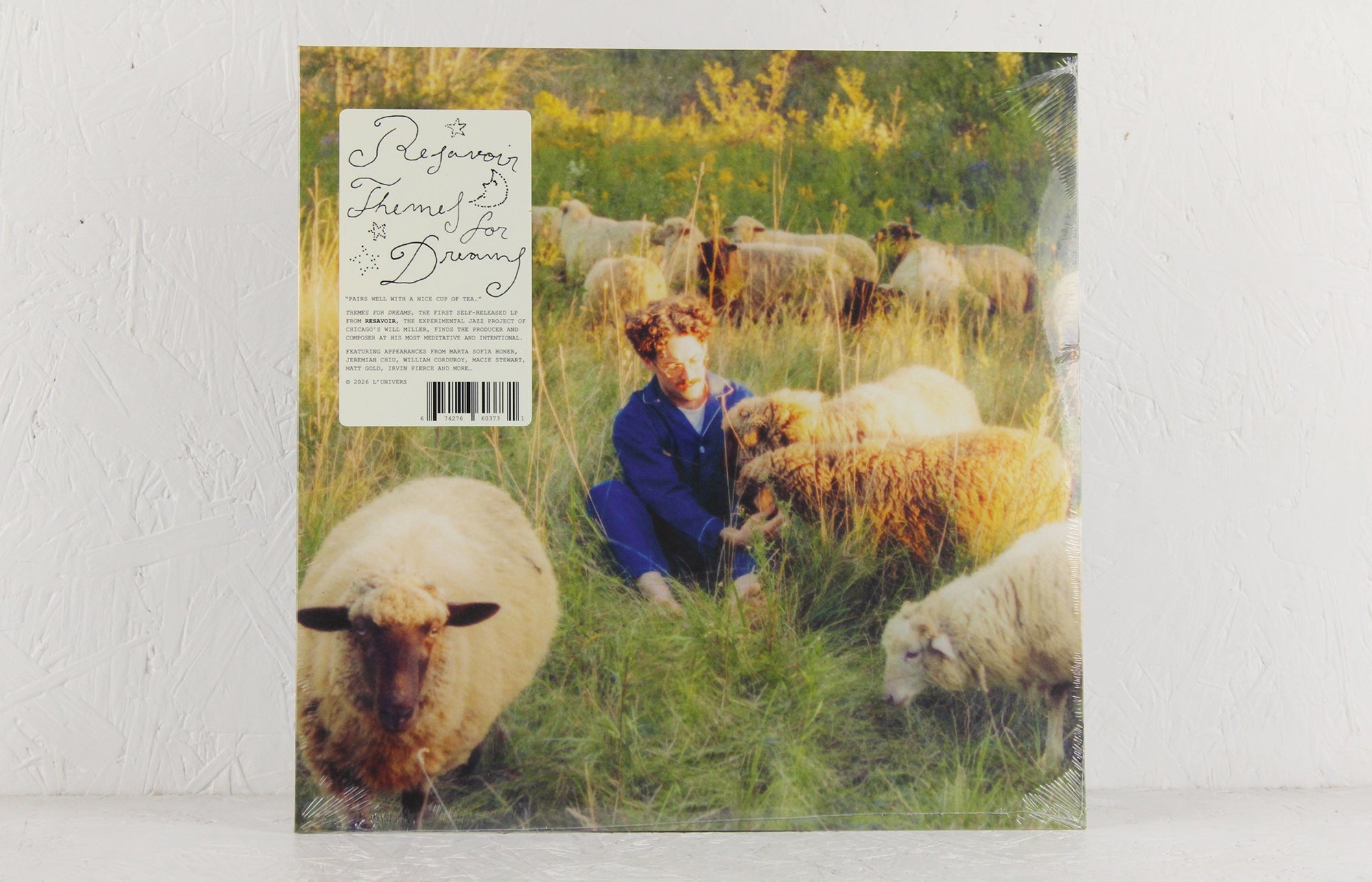 Themes For Dreams – Vinyl LP