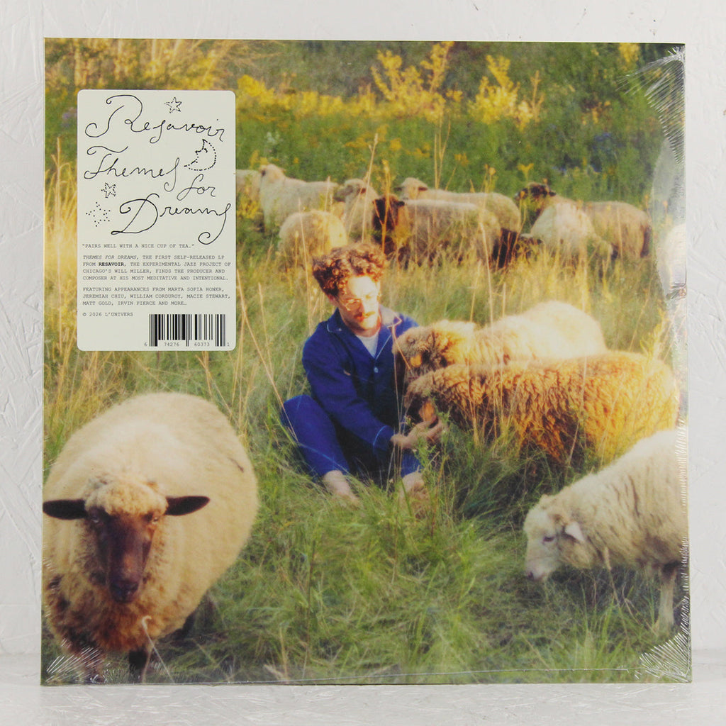 Themes For Dreams – Vinyl LP
