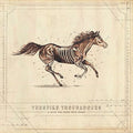 Turnpike Troubadours — A Long Way From Your Heart (2-LP)