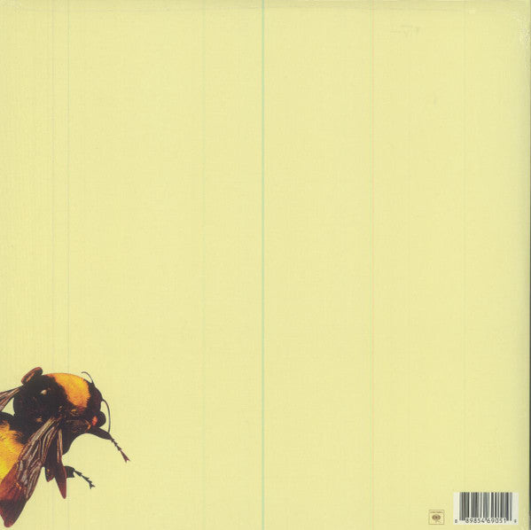 Tyler, The Creator — Flower Boy (2-LP)