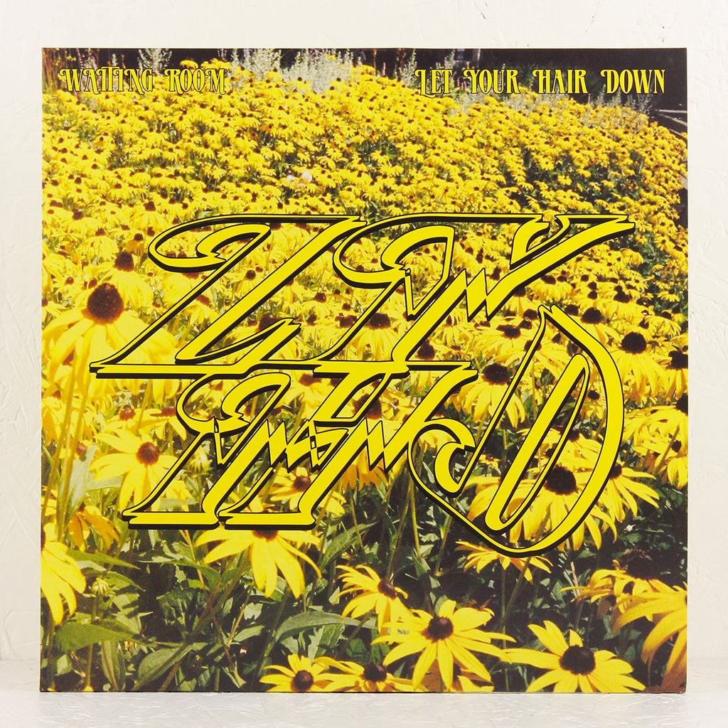 Waiting Room – Vinyl LP