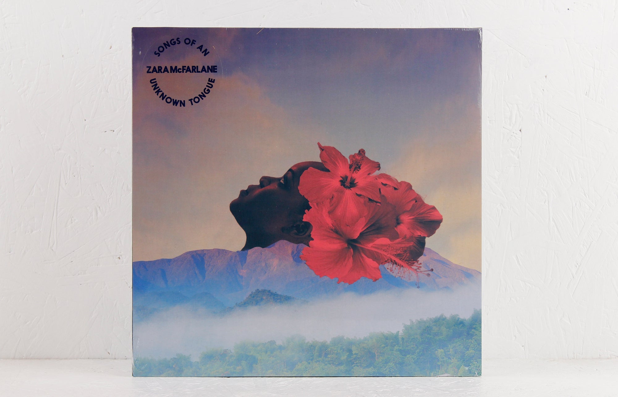 Songs Of An Unknown Tongue – Vinyl LP