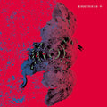 BIRDSTRIKING - Birdstriking ((Vinyl))