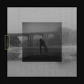 Braille - Mute Swan ((Vinyl))