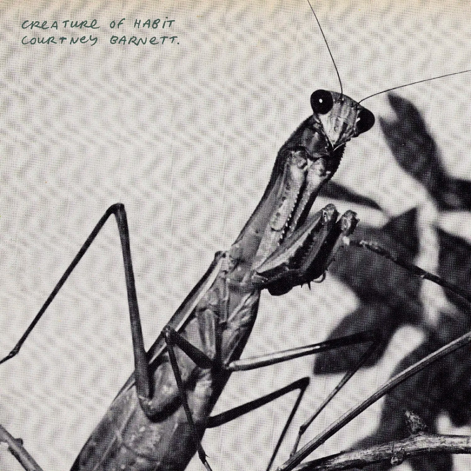 Courtney Barnett — Creature Of Habit