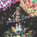 DILEMASTRONAUTA Y LA TRIPULACION COSMICA - En Orbita ((Vinyl))