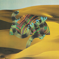Django Django - Django Django ((Vinyl))