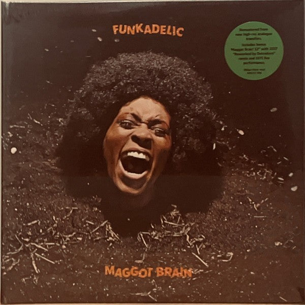 Funkadelic — Maggot Brain