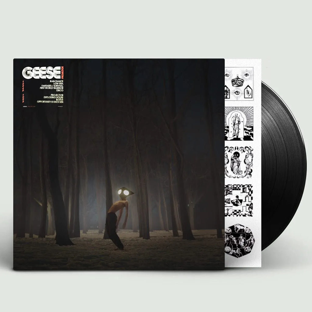Geese — Projector