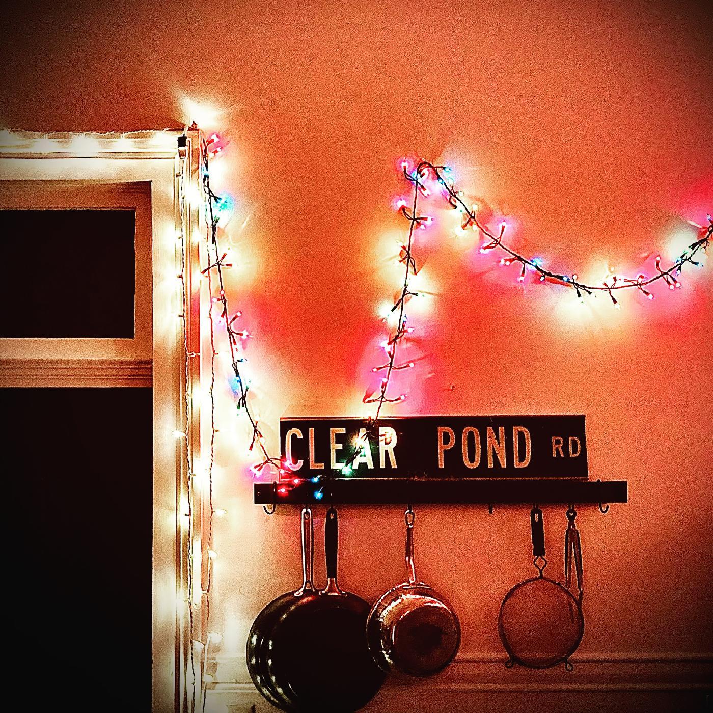 Kristin Hersh - Clear Pond Road (CLEAR VINYL) ((Vinyl))