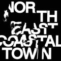 LIFE - North East Coastal Town ((Vinyl))