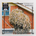 Daylight Savings – Vinyl LP