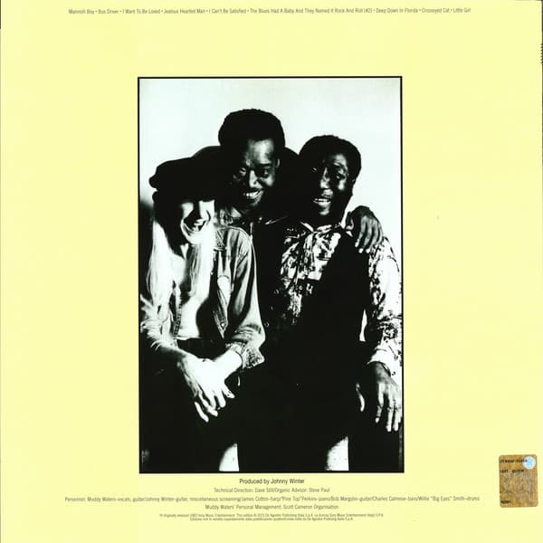 Muddy Waters — Hard Again
