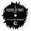 PETER TEVIS/ENNIO MORRICONE - Pastures Of Plenty ((Vinyl))