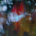 Photay with Carlos Ni¨°o - An Offering ((Vinyl))