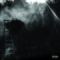 REINHOLD FRIEDL & ERYCK ABECASSIS - Animal Electrique ((Vinyl))