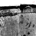Sheherazaad - Qasr (TRANSPARENT RED VINYL) ((Vinyl))