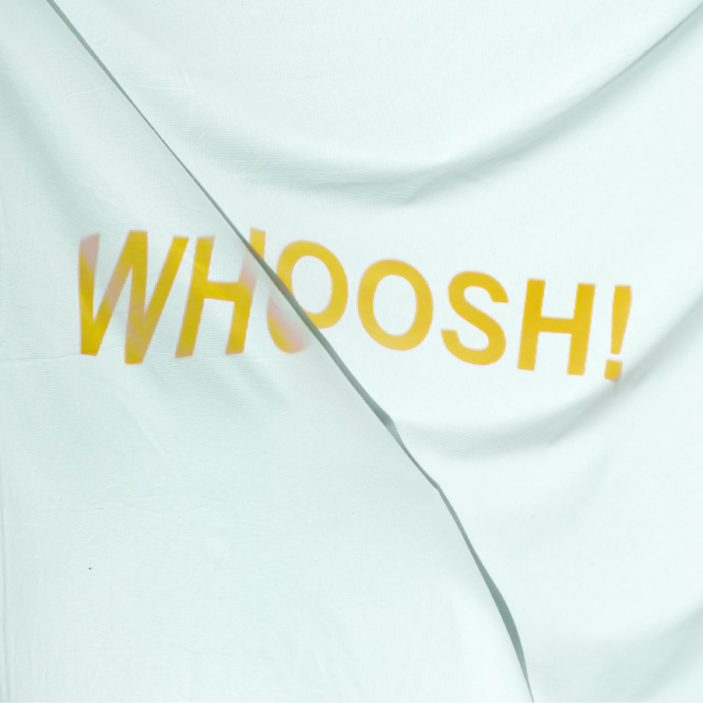 The Stroppies - WHOOSH ((Vinyl))