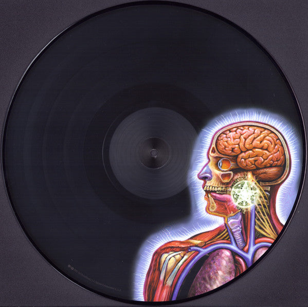 Tool — Lateralus (Picture Disc 2-LP)