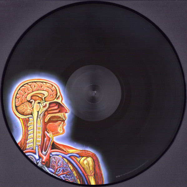 Tool — Lateralus (Picture Disc 2-LP)