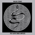 Wailin Storms - The Silver Snake Unfolds (BLUE & BLACK GALAXY VINYL) ((Vinyl))