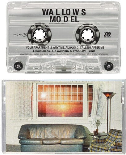 Wallows — Model (CS)